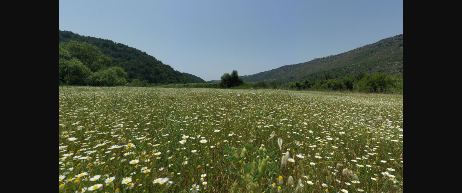 Troisième Appel à Propositions dans le Point Chaud de Biodiversité du Bassin Méditerranéen
