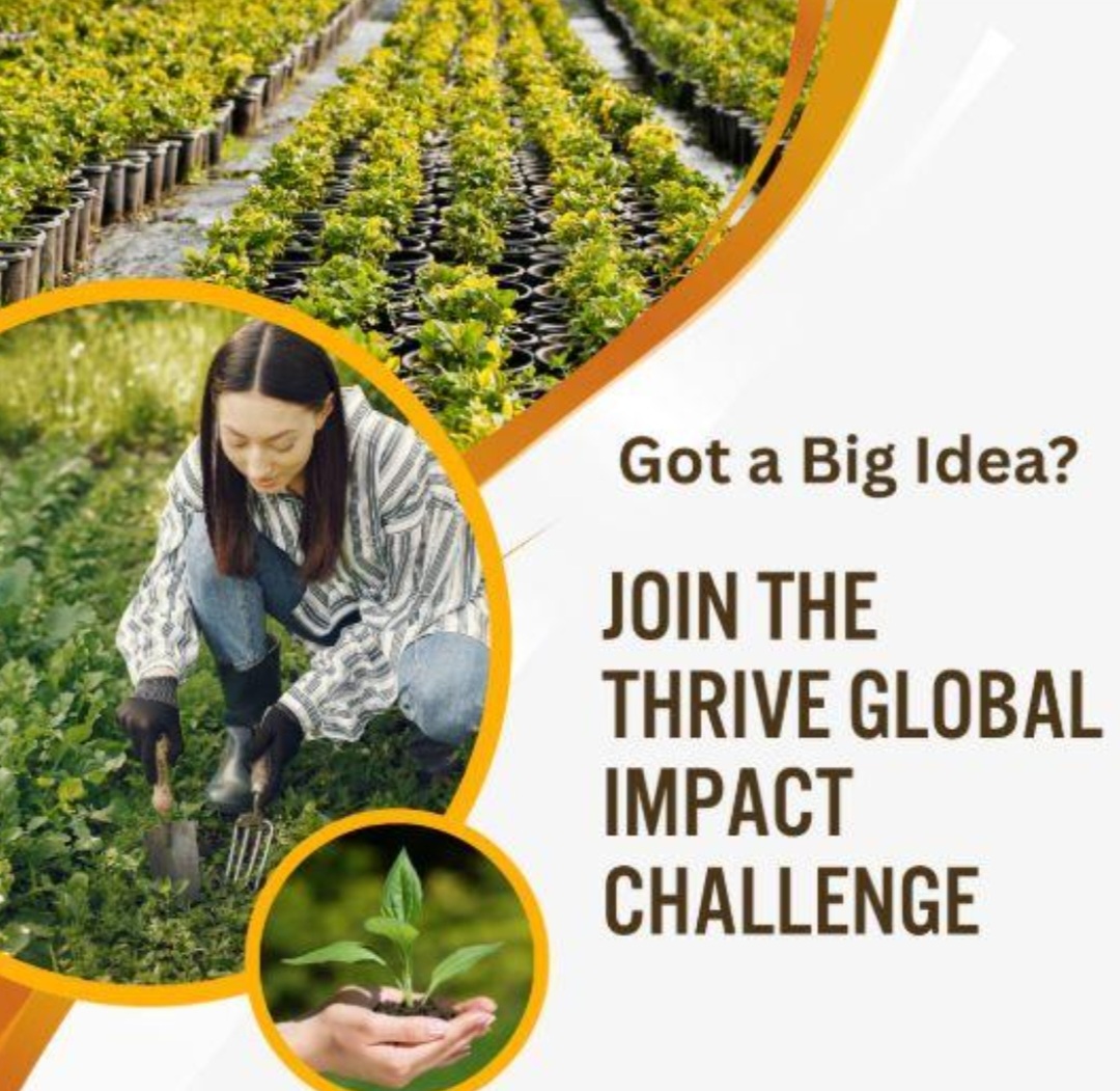 Défi mondial d'impact THRIVE 2026