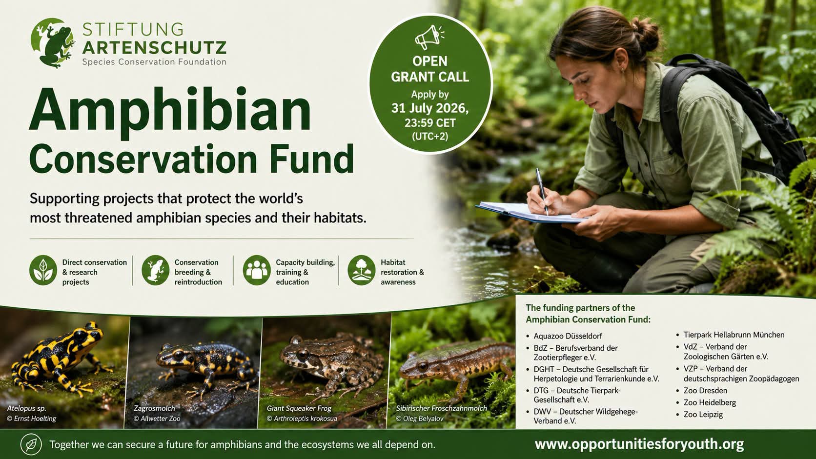 صندوق الحفاظ على البرمائيات (Amphibian Conservation Fund)