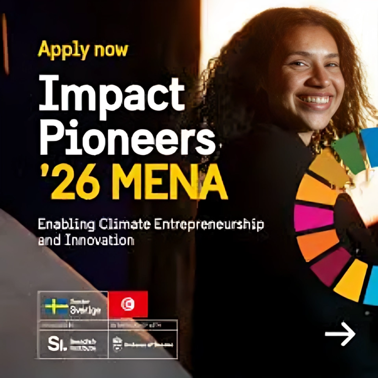 برنامج Impact Pioneers – Swedish Institute Leadership Programme for MENA